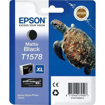 Inkoust Epson C13T15784010 T1578 černý (black)