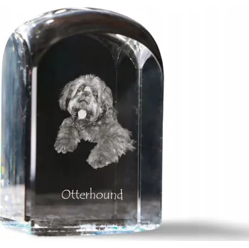 Obraz Otterhound fotografie v křišťálu, památka, trofej, těžítko na papír