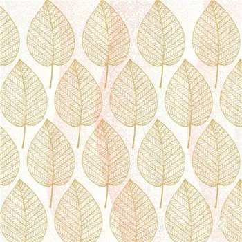 Papírový ubrousek Ubrousek 40 x 40 cm BioDunisoft ASPEN (60&nbsp;ks) 100032212