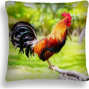 Polštář POLŠTÁŘ ZW 14 KOHOUT POLSKÁ VESNICE SÍDLO PL 70 x 80