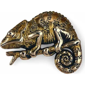 Přívěsek Drakkaria CHAMELEON, amulet, bronz