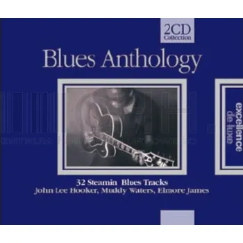 Zahraniční hudba Blues Anthology - 32 Steamin’ Blues Tracks Různí Umělci CD