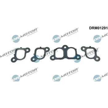 Těsnění motoru Sada těsnění, koleno sacího potrubí Dr.Motor Automotive DRM01291