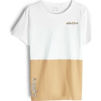 Chlapecké tričko GATE Bavlněné tričko s potiskem 6Y 425-0176/111