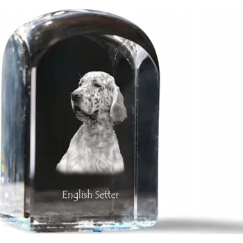 Obraz Anglický setr - fotografie v křišťálu, památka, trofej, těžítko na papír