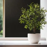 DIMEX | Statická zatemňovací fólie DWF-FB-02 | šíře 44,5 cm | černá + statická okenní fólie zatemňovací černá