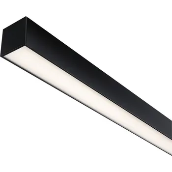 Paulmann 98168 Linion LED stropní svítidlo LED 17 W černá