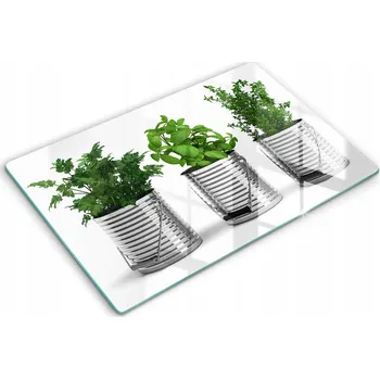 Obraz Tvrzené skleněné kuchyňské desky s grafikou 80x52 cm - Květináče, bylinky, rostliny