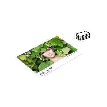 A4/100 FOMEI PRO Gloss 265