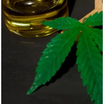 Rostlinný olej Olej konopný lisovaný za studena Množství: 500 ml