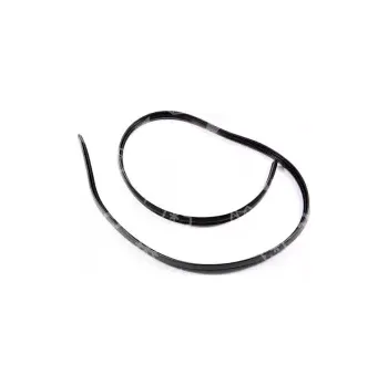 Příslušenství pro myčku těsnění dveří myčky CANDY, CDP, CDI, 41019164