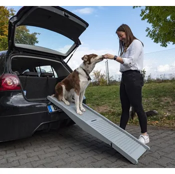 Příslušenství ke karavanu Rampa pro psa EMMA do 40kg, materiál: PP, šedá, rozložená 152*12*40cm (centimetry)