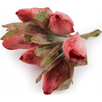 umělá květina Umělé Tulipány na drátku, vintage styl, 6 ks