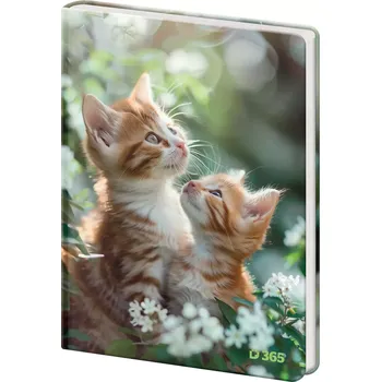 Blok Památník A5 13x18cm čistý Tabby