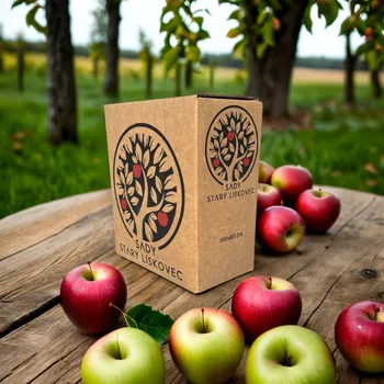 100% mošt JABLKO 5L