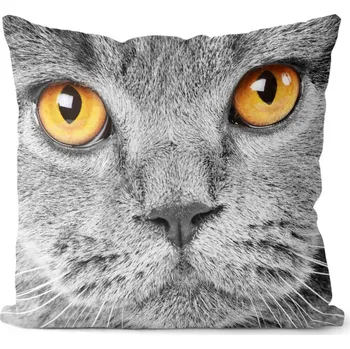 Dekorativní polštářek Polštář 40 x 40 cm - Kočičí pohled