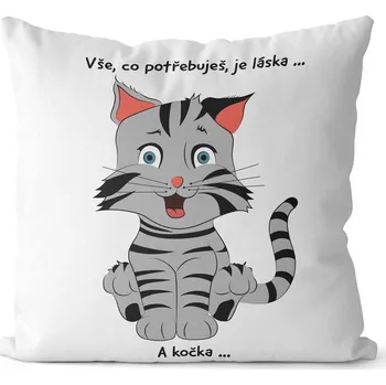 Dekorativní polštářek Polštář 40 x 40 cm - Potřebuješ kočku