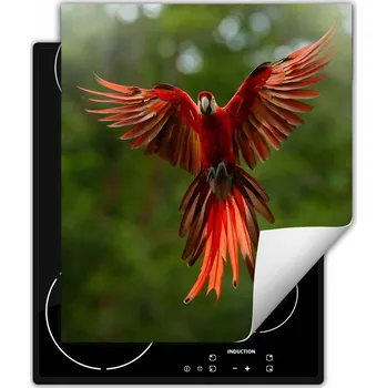 Obraz Ochranná podložka na indukci dekorativní rolovací do kuchyně tisk 50x52 wm0530