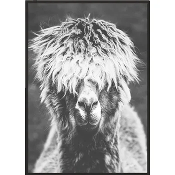 Obraz OBRAZ PLAKÁT V RÁMU 33x43 cm Alpaka P922