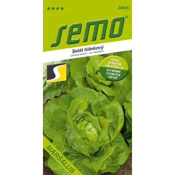 Semeno Salát hlávkový Maršálus - extrémní teploty - Semo