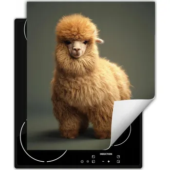 Obraz Ochranná podložka na indukci dekorativní, rolovací do kuchyně, potisk 45x52 cm wm0308