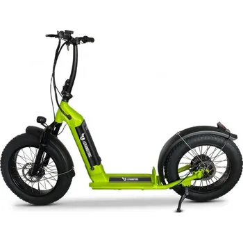 Elektrokoloběžka Leramotors Lera Scooters S3 48 V Lithium 500 W