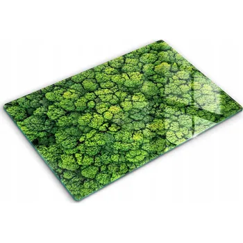 Obraz Tvrzené sklo odolné jako kryt varné desky Příroda rostliny mech 80x52