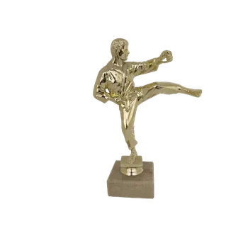 Figurka velká - karatista 25 cm - 25 cm