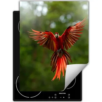 Obraz Ochranná podložka na indukci dekorativní, rolovací do kuchyně, potisk 40x52 wm0530