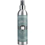Morgan's Sea Salt texturizer do vlasů 300 ml