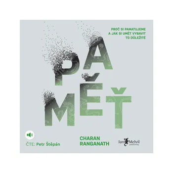 Paměť MP3 download