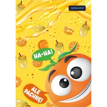 DESKY Univerzální na Osobní Spisy DESKY S Gumičkou A4 OVOCE Desky Astra