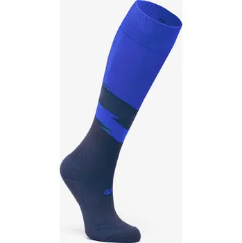 Štulpny KIPSTA Dětské fotbalové štulpny Kids Roarr 31/34 MODRÁ