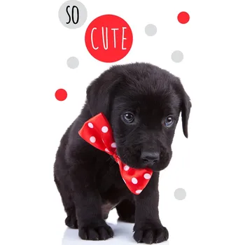 Froté ručníček Roztomilé štěňátko