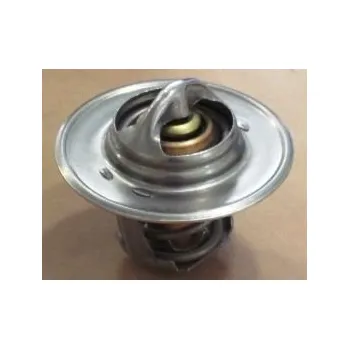 Těsnění motoru Termostat, chladivo MOTORAD 475-91K