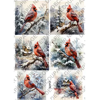 Umělecký papír Rýžový a soft papír na decoupage - Ptáci v zimě - KB0175 Materiál: Soft, Rozměr: A4