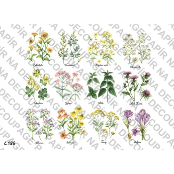 Umělecký papír Rýžový a soft papír na decoupage - Bylinka - KB0186 Materiál: Soft, Rozměr: A4