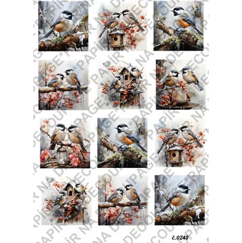 Umělecký papír Rýžový a soft papír na decoupage - Ptáci v zimě - KB0248 Materiál: Soft, Rozměr: A4
