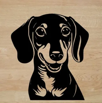 Samolepicí dekorace na vozidlo Jezevčík – hlava – samolepka z fólie