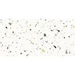 Obklad Rako Spectra zelená 30x60 cm mat WAKVK549.1 219195668