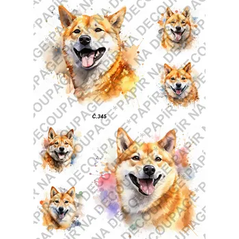 Umělecký papír Rýžový a soft papír na decoupage - Shiba - KB0345 Materiál: Soft, Rozměr: A4