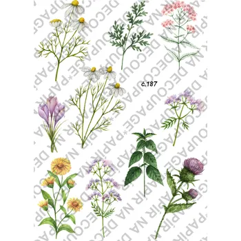 Umělecký papír Rýžový a soft papír na decoupage - Bylinka - KB0187 Materiál: Soft, Rozměr: A4