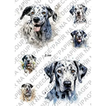 Umělecký papír Rýžový a soft papír na decoupage - Dalmatin - KB0349 Materiál: Soft, Rozměr: A4