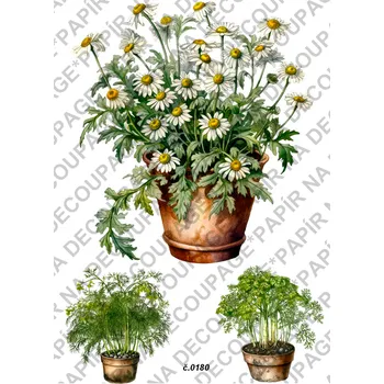 Umělecký papír Rýžový a soft papír na decoupage - Bylinka v květináči - KB0180 Materiál: Soft, Rozměr: A4