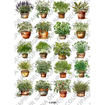 Umělecký papír Rýžový a soft papír na decoupage - Bylinka v květináči - KB0185 Materiál: Soft, Rozměr: A4