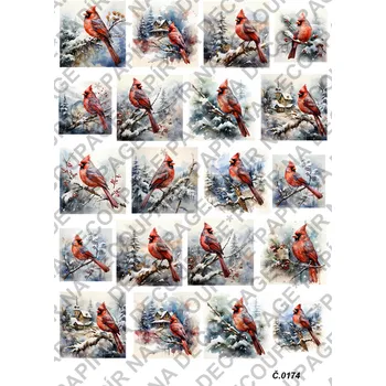 Umělecký papír Rýžový a soft papír na decoupage - Ptáci v zimě - KB0174 Materiál: Soft, Rozměr: A4
