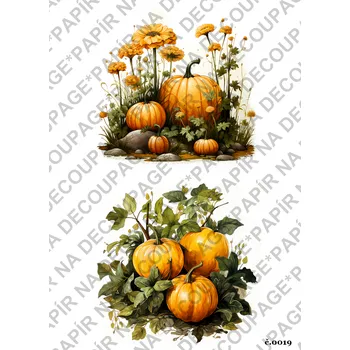 Umělecký papír Rýžový a soft papír na decoupage - Dýně - KB019 Materiál: Soft, Rozměr: A4