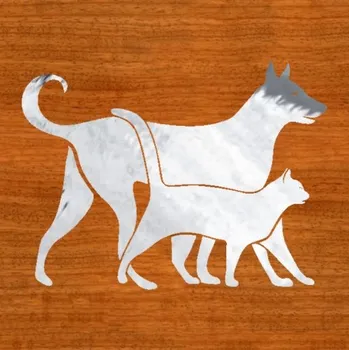 Samolepicí dekorace na vozidlo Pes a kočka1 – samolepka z fólie