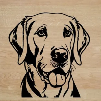Samolepicí dekorace na vozidlo Labrador – hlava – samolepka z fólie