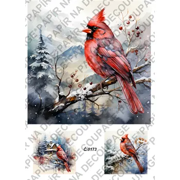 Umělecký papír Rýžový a soft papír na decoupage - Ptáci v zimě - KB0173 Materiál: Soft, Rozměr: A4